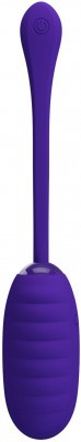 Фиолетовое перезаряжаемое виброяйцо Kirk